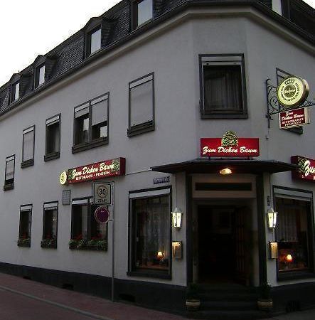 Hotel Zum Dicken Baum Mayen Ngoại thất bức ảnh